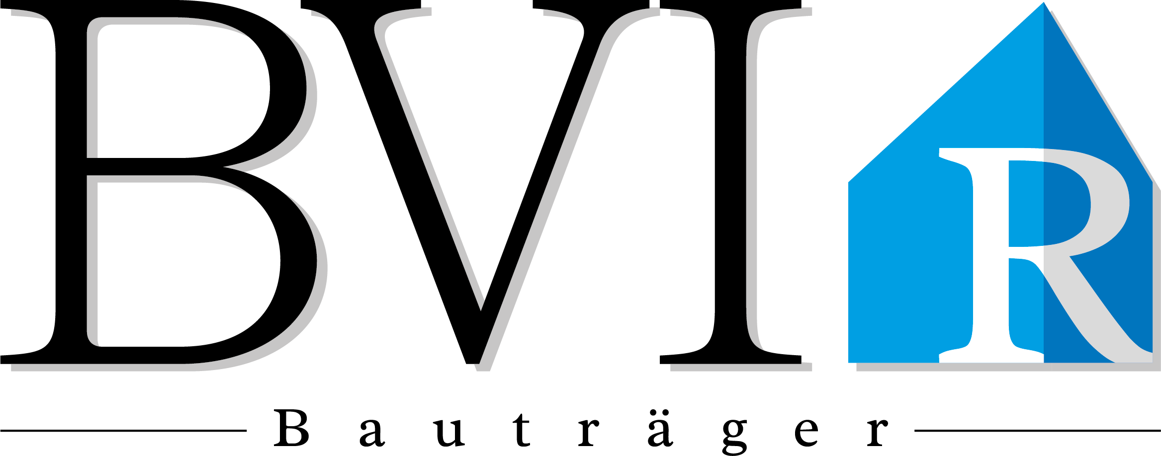 Logo BVI