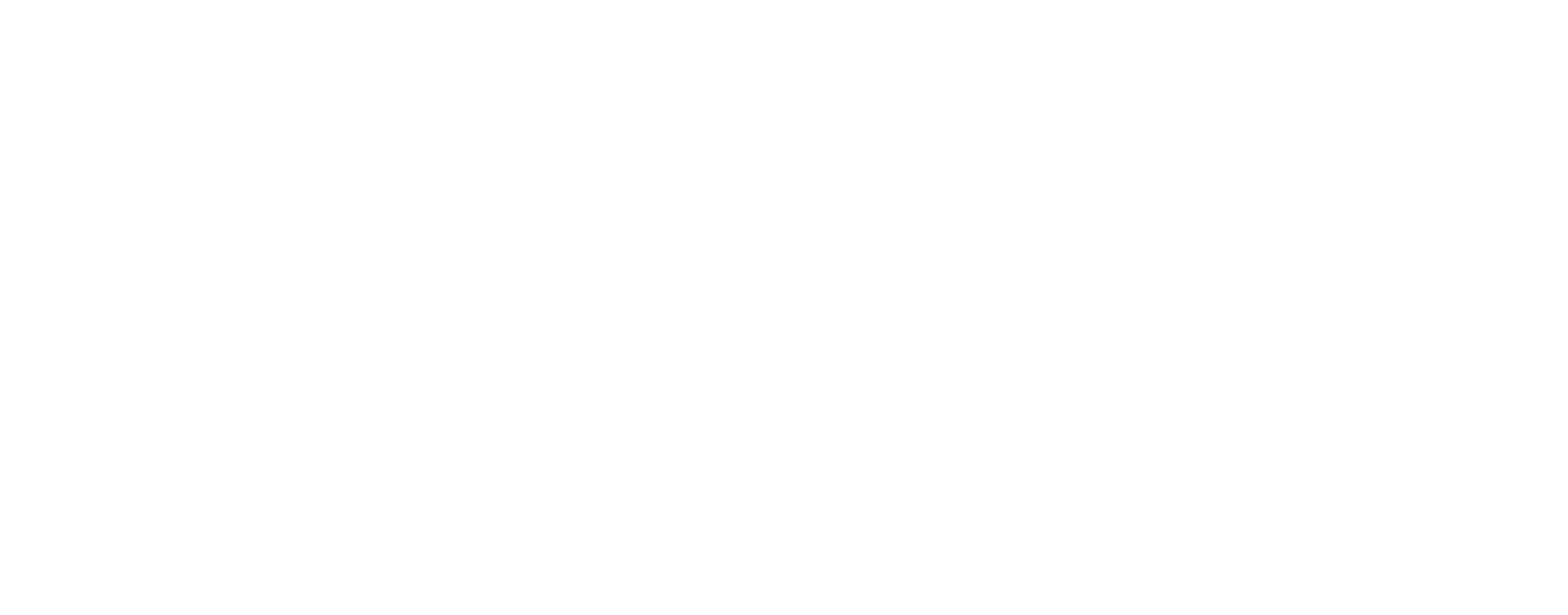 Logo BVI